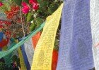 Detox International healing retreats